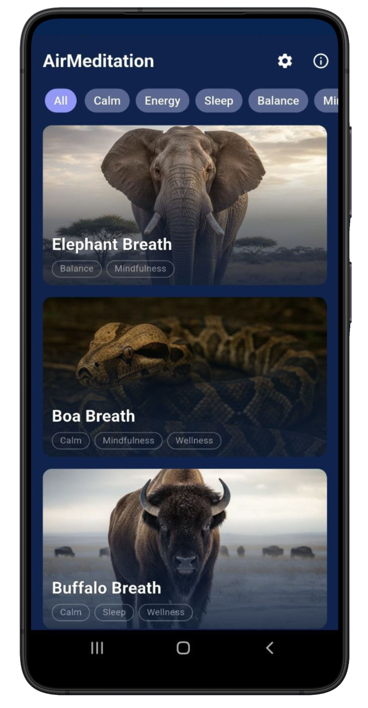 AirMeditation app — breathing techniques