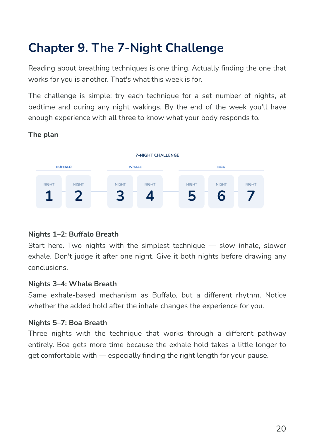 Chapter 9 — The 7-Night Challenge